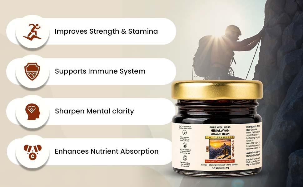 PURE WELLNESS SHILAJIT RESIN (20 g)